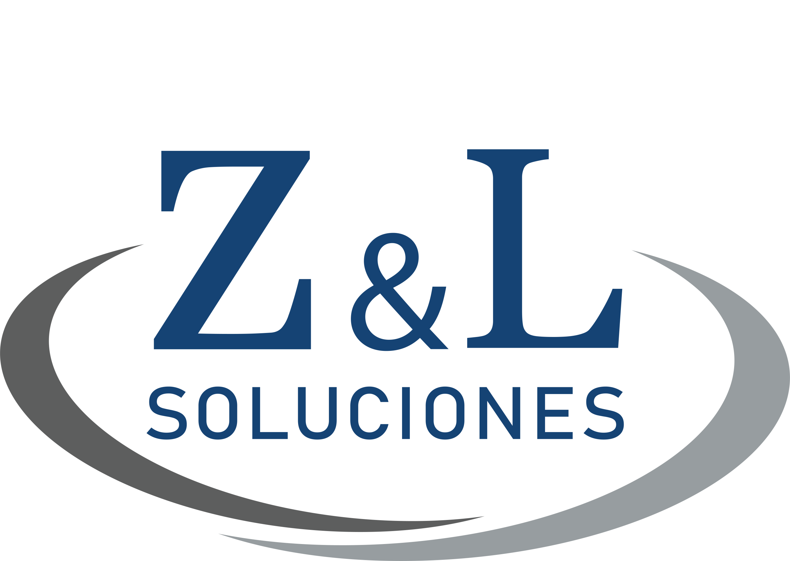 Logo Z&L Soluciones